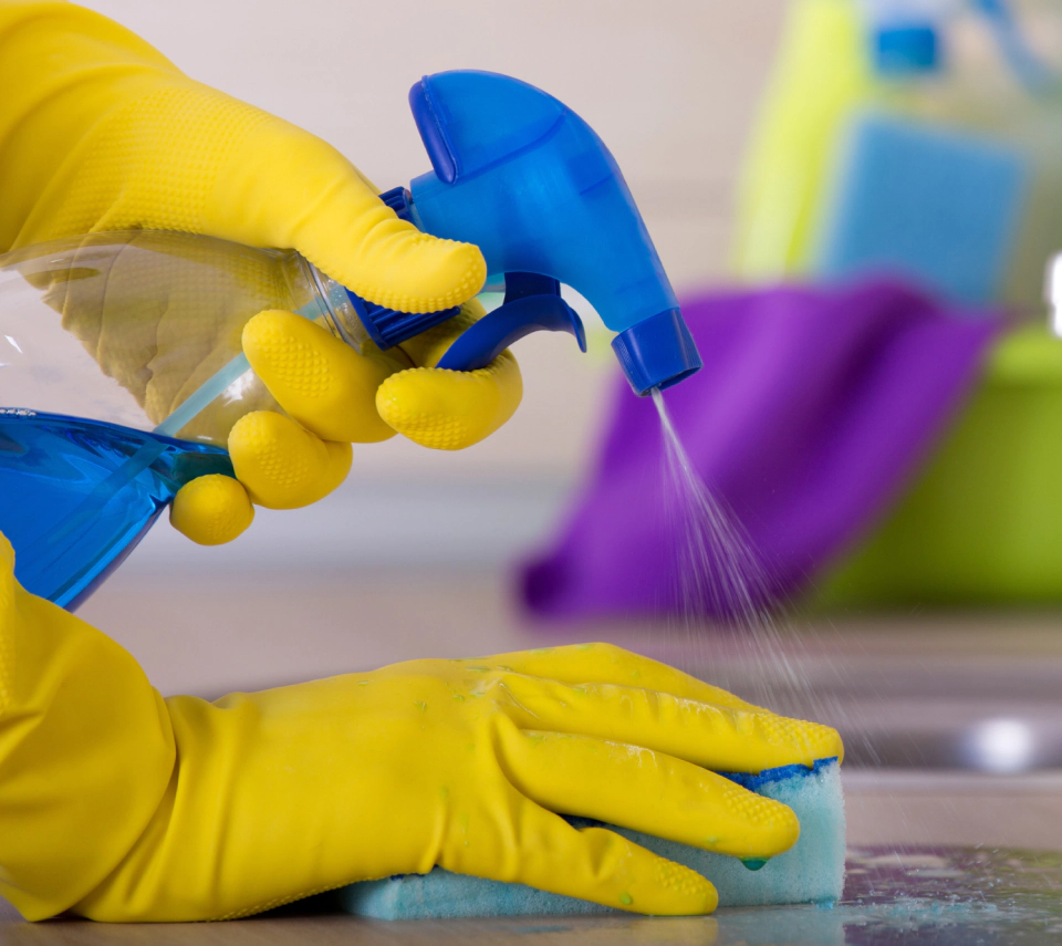 Cleaning Services (1)